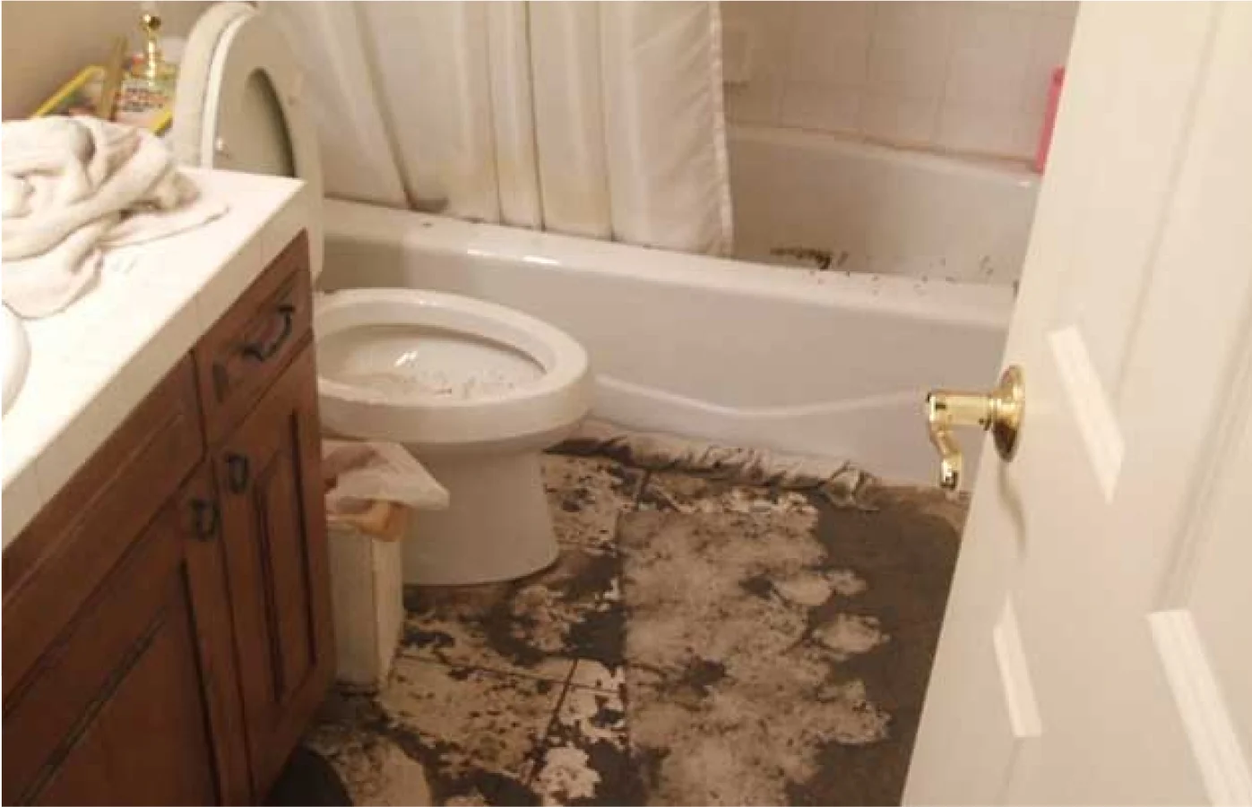 Sewer Backup